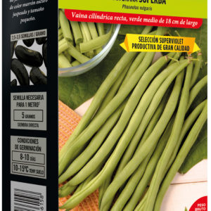Semilla judía de enana Superba 250gr