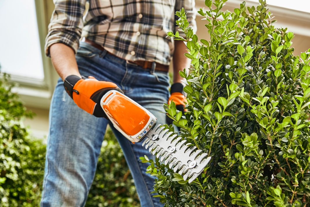 CORTASETOS BATERÍA STIHL HSA 26 - Imagen 4