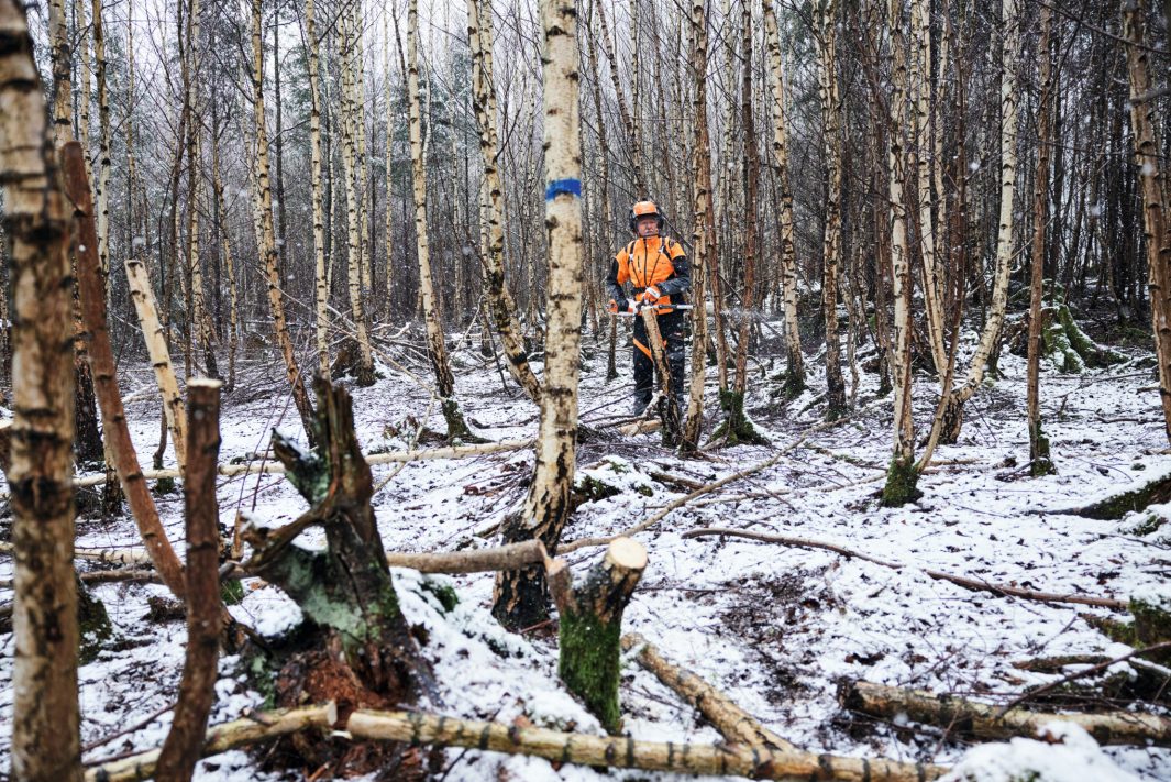 PODADORA DE ALTURA BATERÍA STIHL HTA 150 (sin batería ni cargador) - Imagen 6